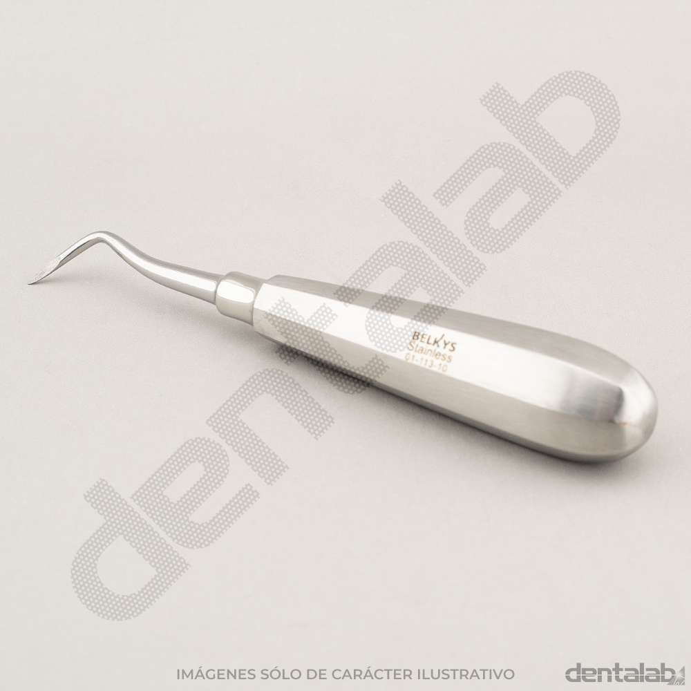 Elevador Apical Recto HEIDBRINK 10 • 01-113-10 • BELKYS