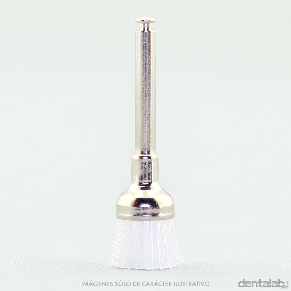 Cepillito Brochita CA Profilaxis Forma Copa Transparente