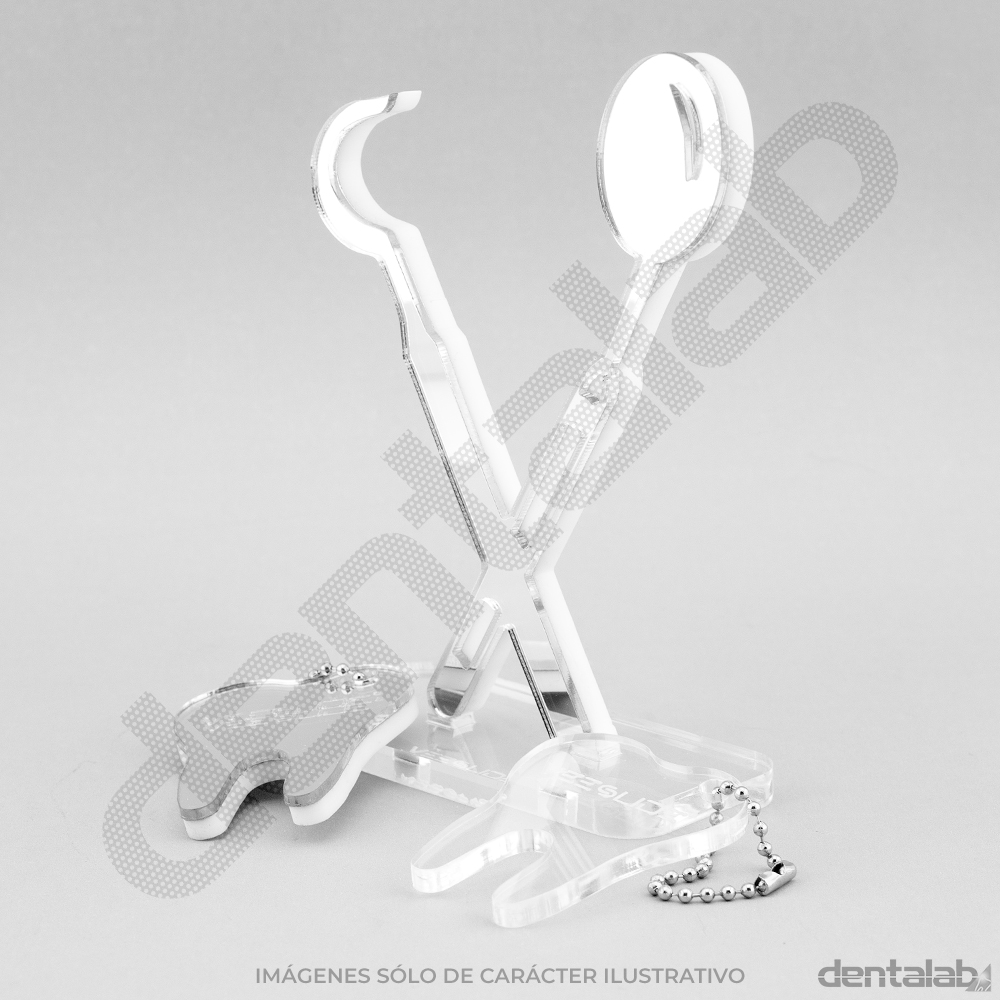 Accesorio Slide Deco Instrumental Glam + 2 llaveros • Plateado • VEESLIDE