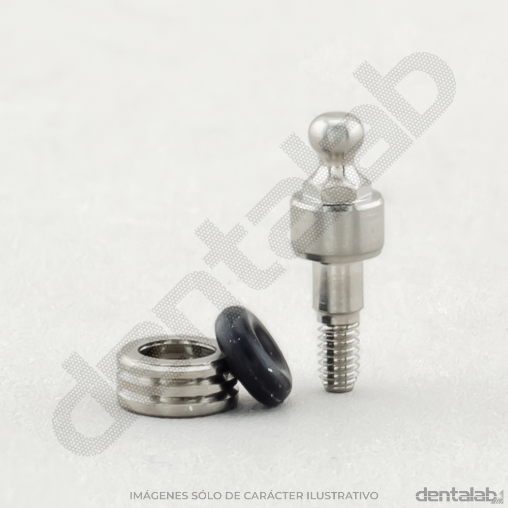 Pilar Ball-Attached Altura 2 con Cazoleta y O'Ring Ø3,5 Tree Channel