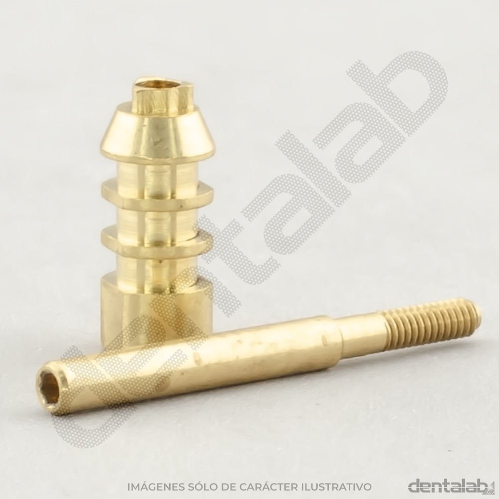 Transfer de Bronce con Tornillo Ø3,5 Tree Channel