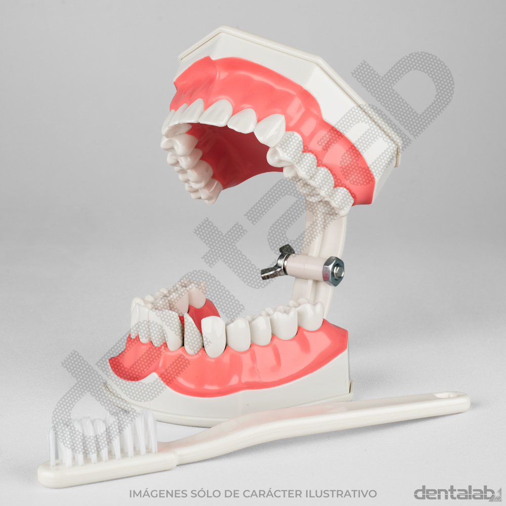 MacroModelo Plástico para Cepillado